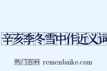 辛亥季冬雪中作近义词是什么意思的图片